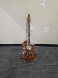Takamine Acoustic-Electric
