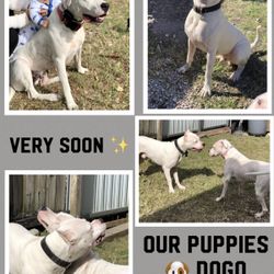 📌Make your reservation