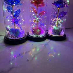 Roses With Heart, Sheep, And Glass Dorm