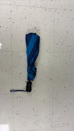 Expandable umbrella