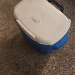 Coleman Cooler
