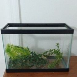 Fish Tank. 2.5 Gallon