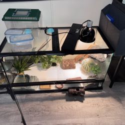 40 Gallon Tank And Accessories 