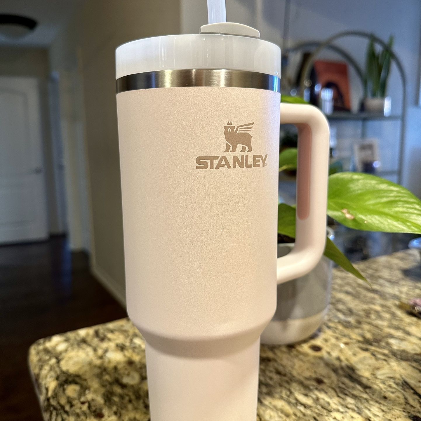 Stanley The Quencher H2.0 Flowstate 40oz Tumbler - Pink Dust for Sale in  Corpus Christi, TX - OfferUp