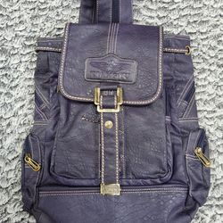 Cool Leatherish Backpack 