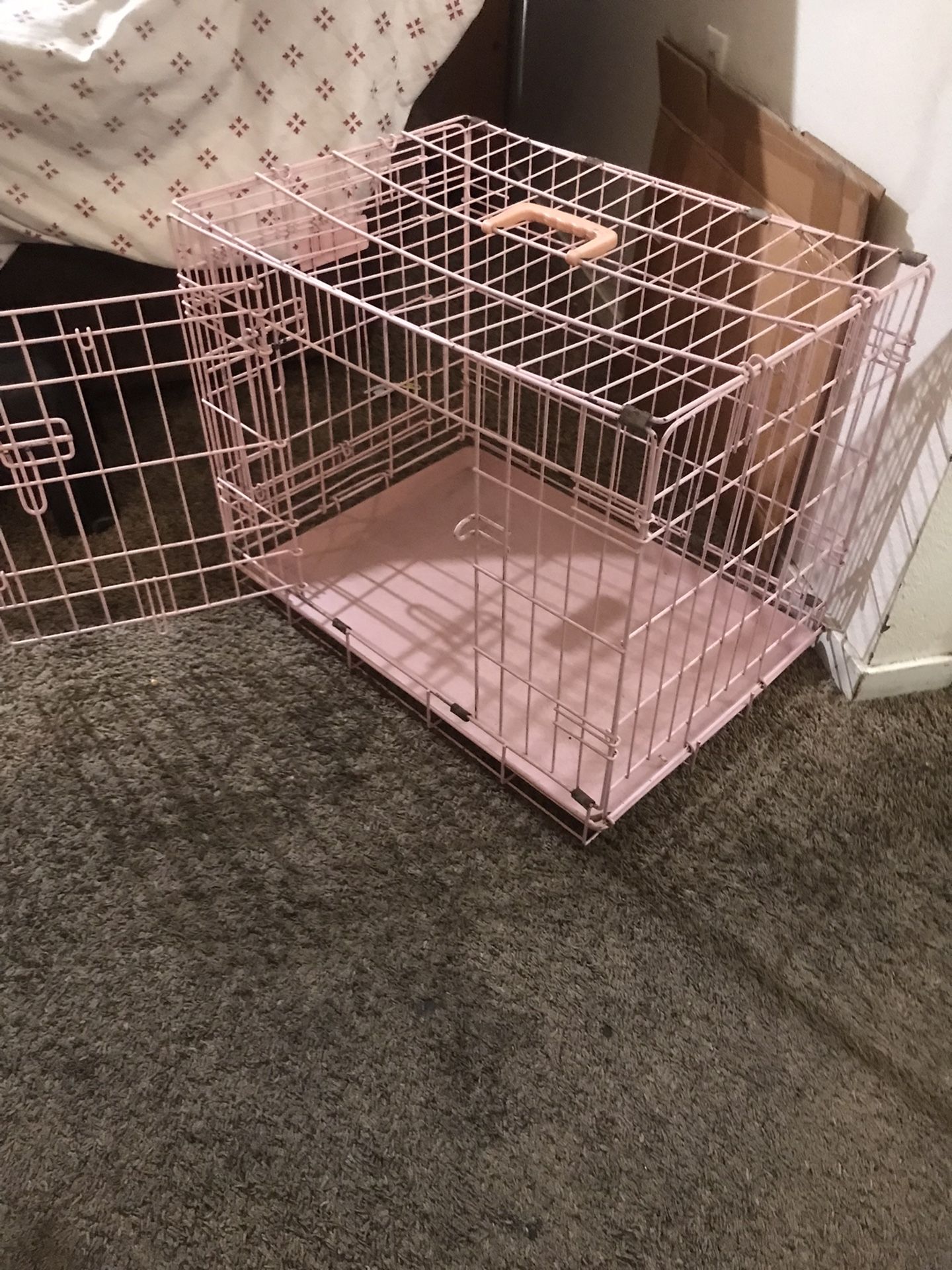 Dog Cage