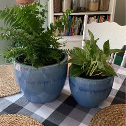 New Pots And Plants