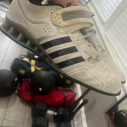 Power Lift Shoes Size 11