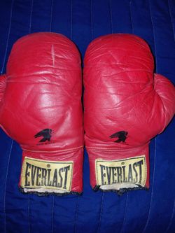 Everlasting Boxing Gloves 12oz