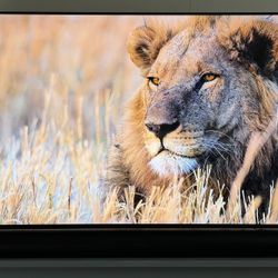 Samsung 55” 4K TV Great For Sports/Movies/Gaming