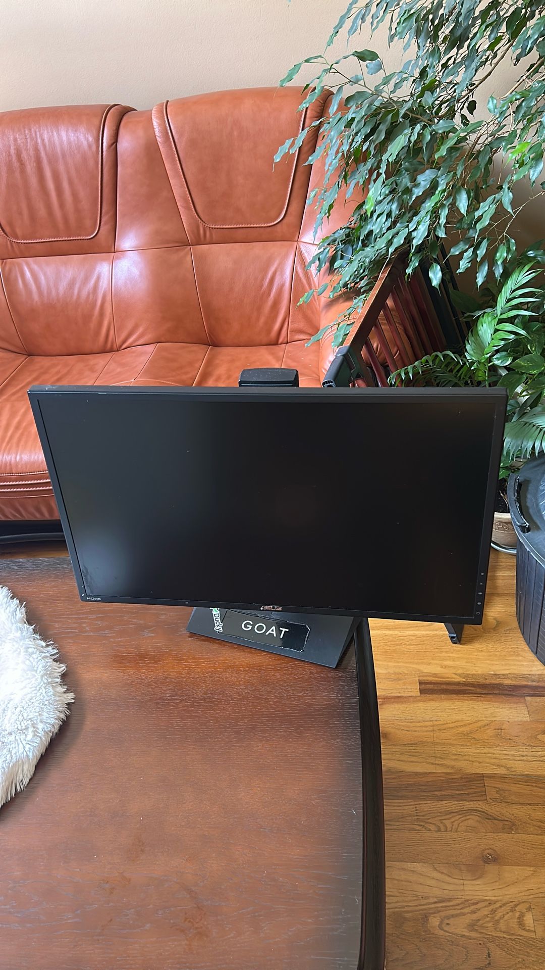 Asus Vg245