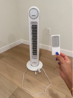 Fan