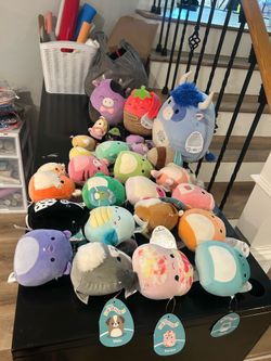 Squishmallows with tags
