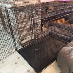 XXL Dog Kennel