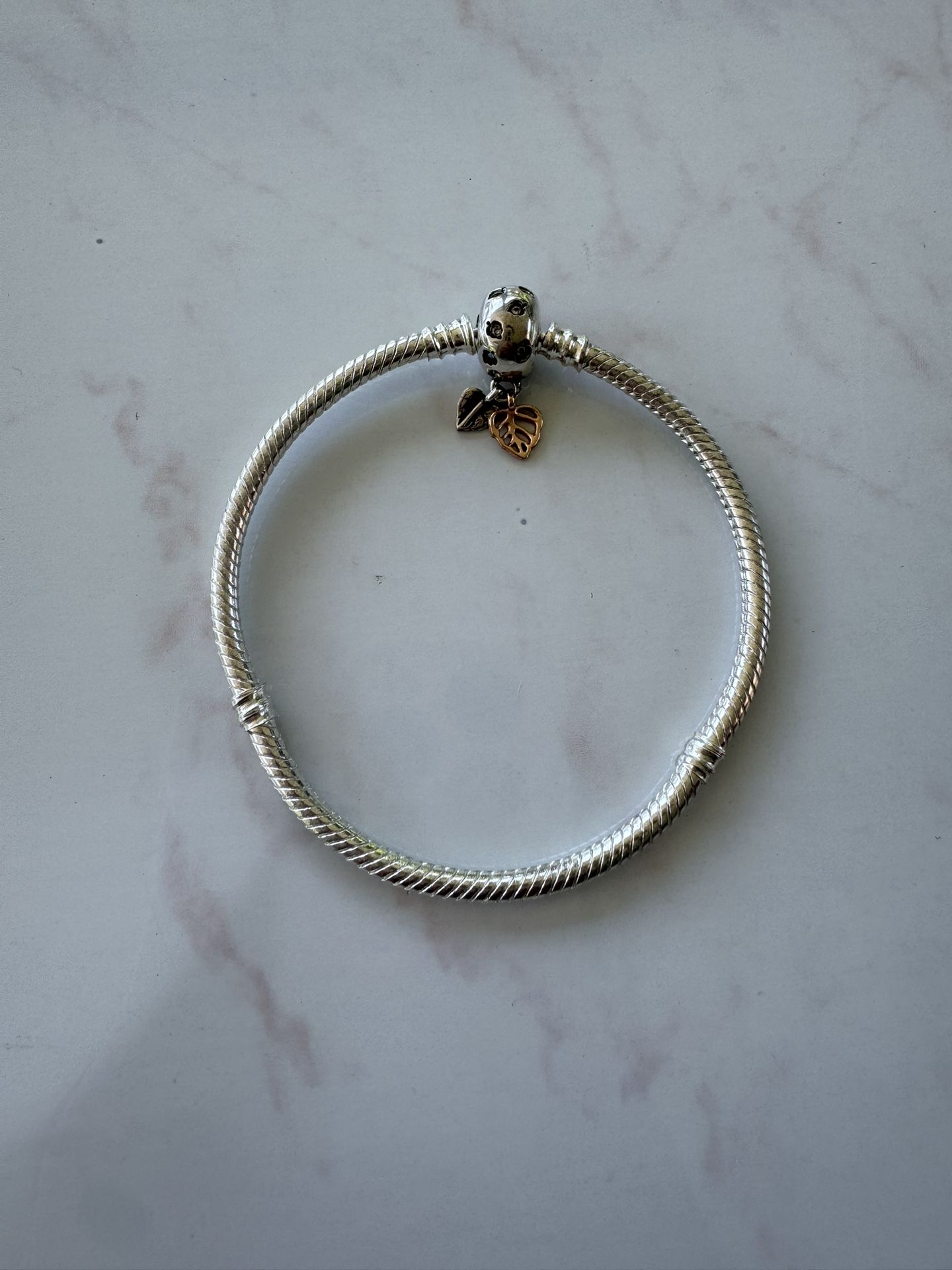 Pandora Bracelet