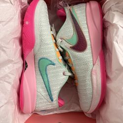Nike Lebron 20 Time Machine Size 12