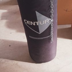 Punching Bag 