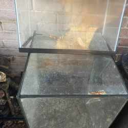 Two Fish Tanks And Rock