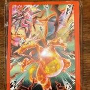 Charizard Penny Sleeve(65 count)