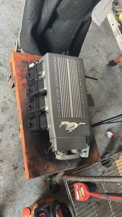 Ford Mustang GT factory high rise intake manifold.