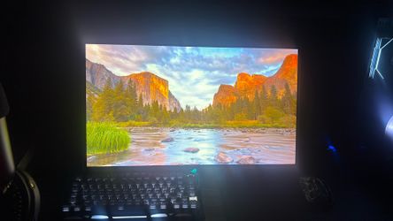 Oled gaming monitor