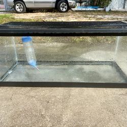 Glass Aquarium Tank with Screen Lid – Great Condition