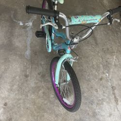 Girls 20” Schwinn Deelite Bike