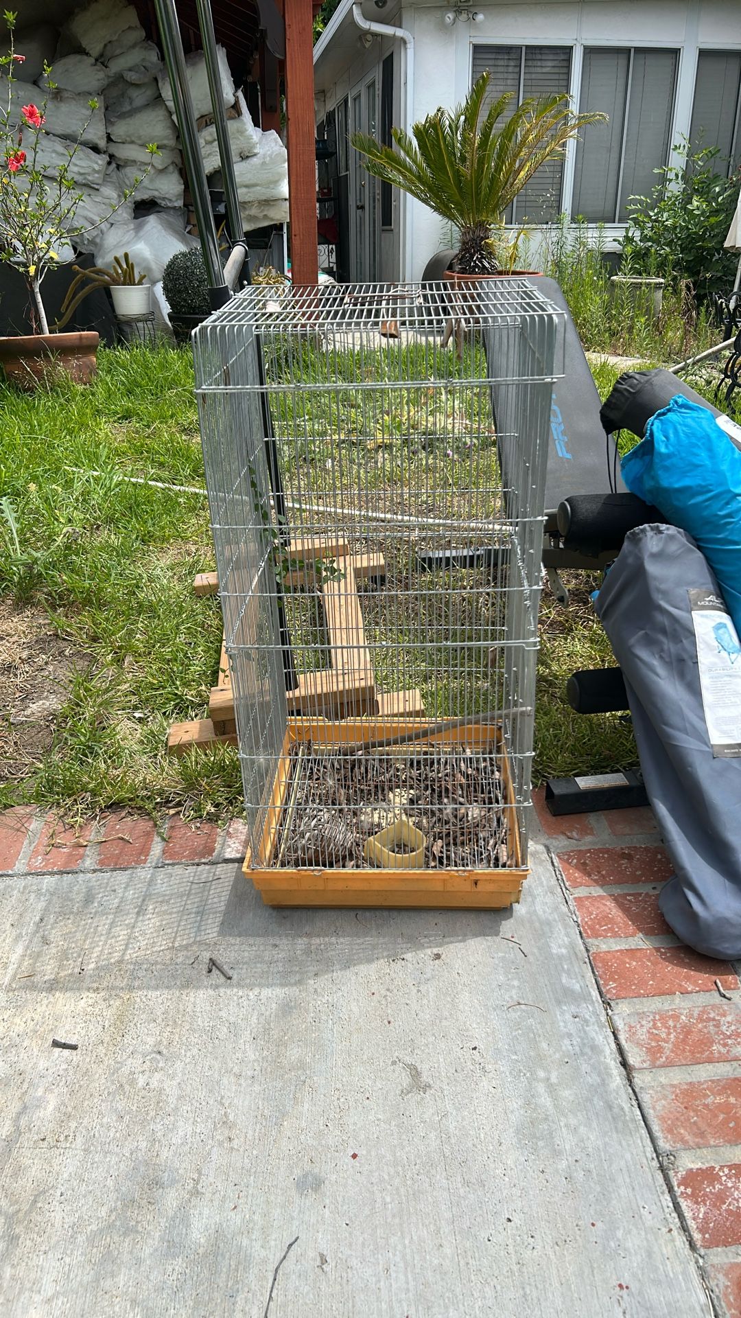 Bird Cage