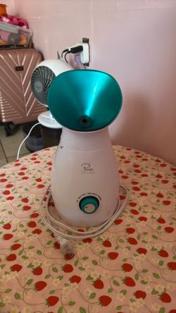 Face steamer