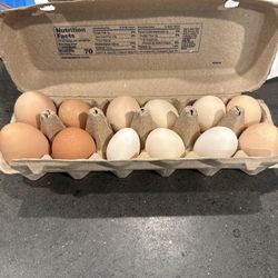Organic Eggs