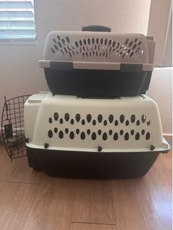 pet carrier