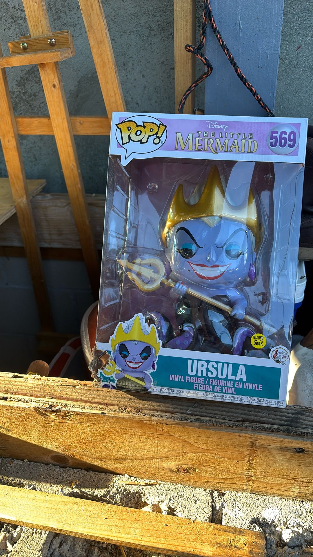 Ursula POP