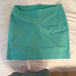 Ann Taylor Skirt Size 12 
