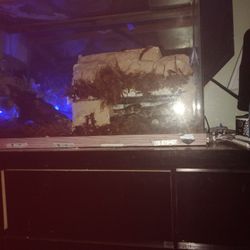 Fish Tank Converted For Reptiles 