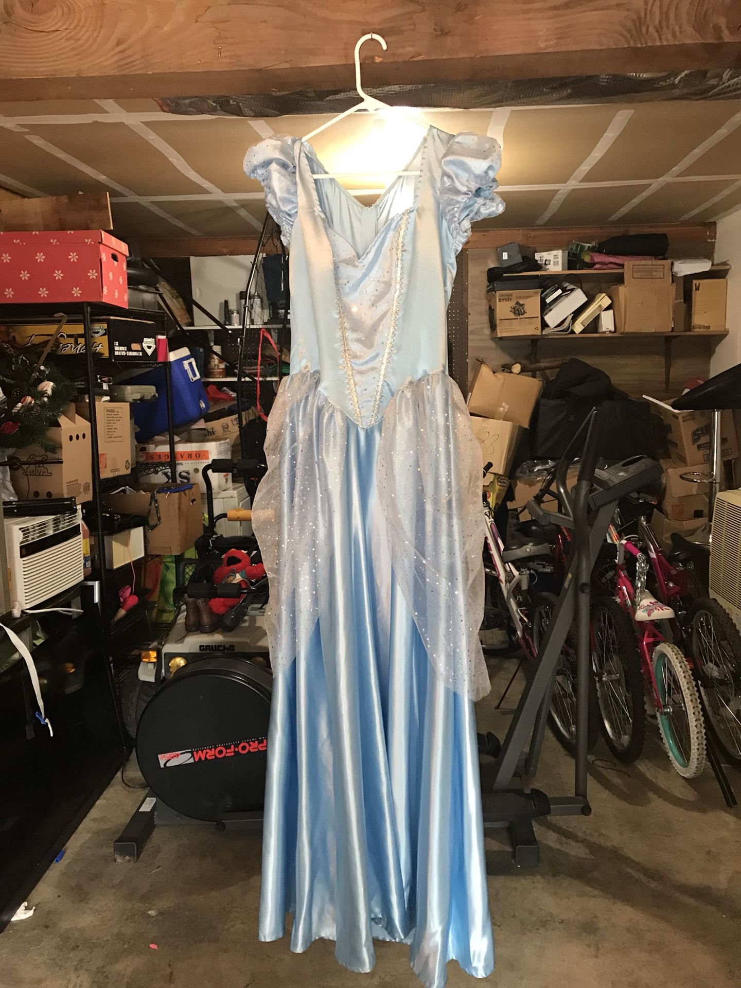 Cinderella costume