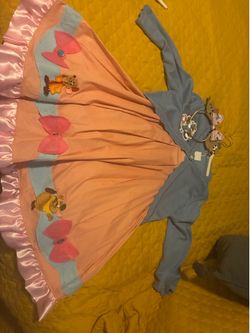 Disney Cinderella out fit
