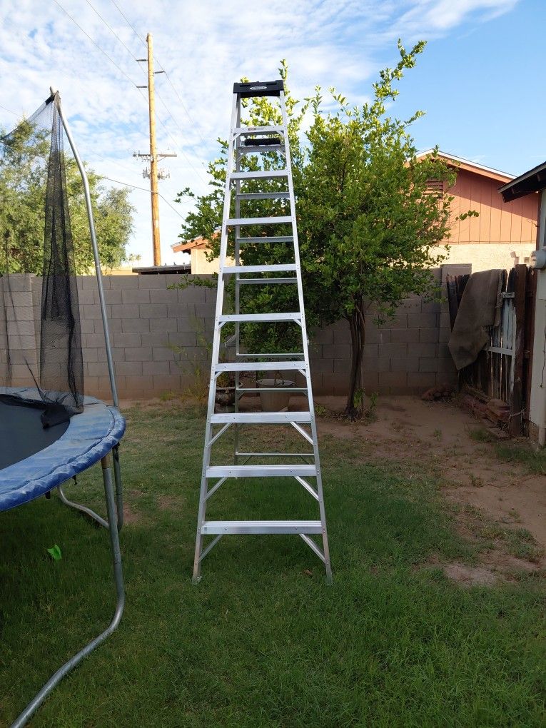 10 FT WERNER LADDER