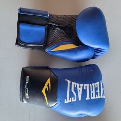 Training Boxing Gloves 