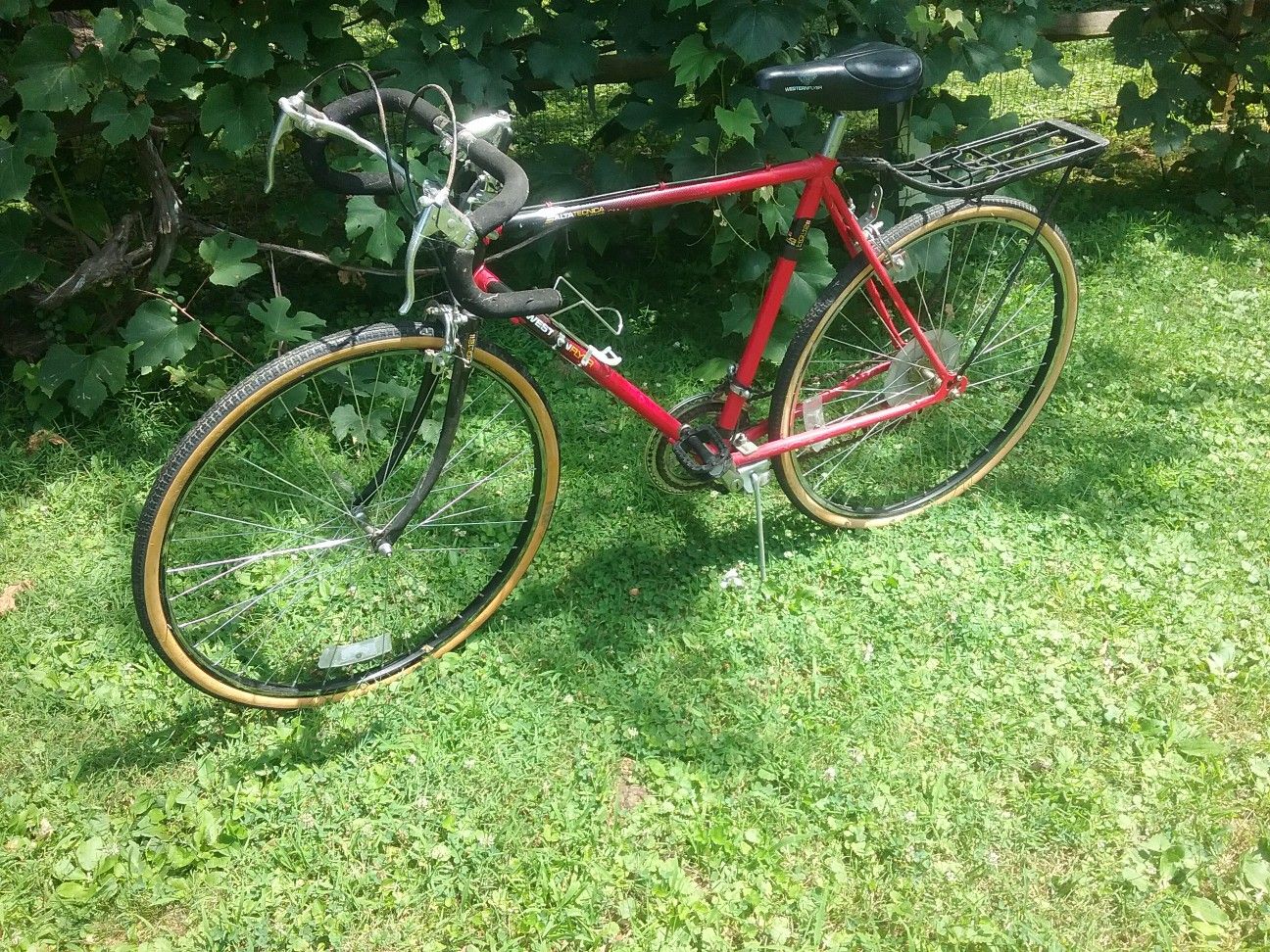 Nice vintage bike .... Western FLYER ,.,,,, 10 speed