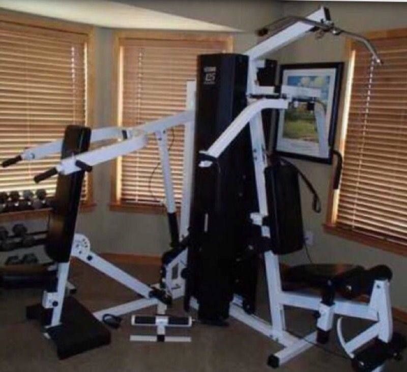 Parabody 425 serious steel workout set