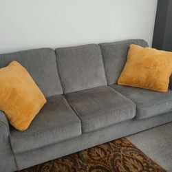 Gray Couch For Sale - Bought New In Sept. 2024