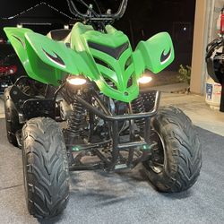 Kazuma Falcon (HAVE TITLE)