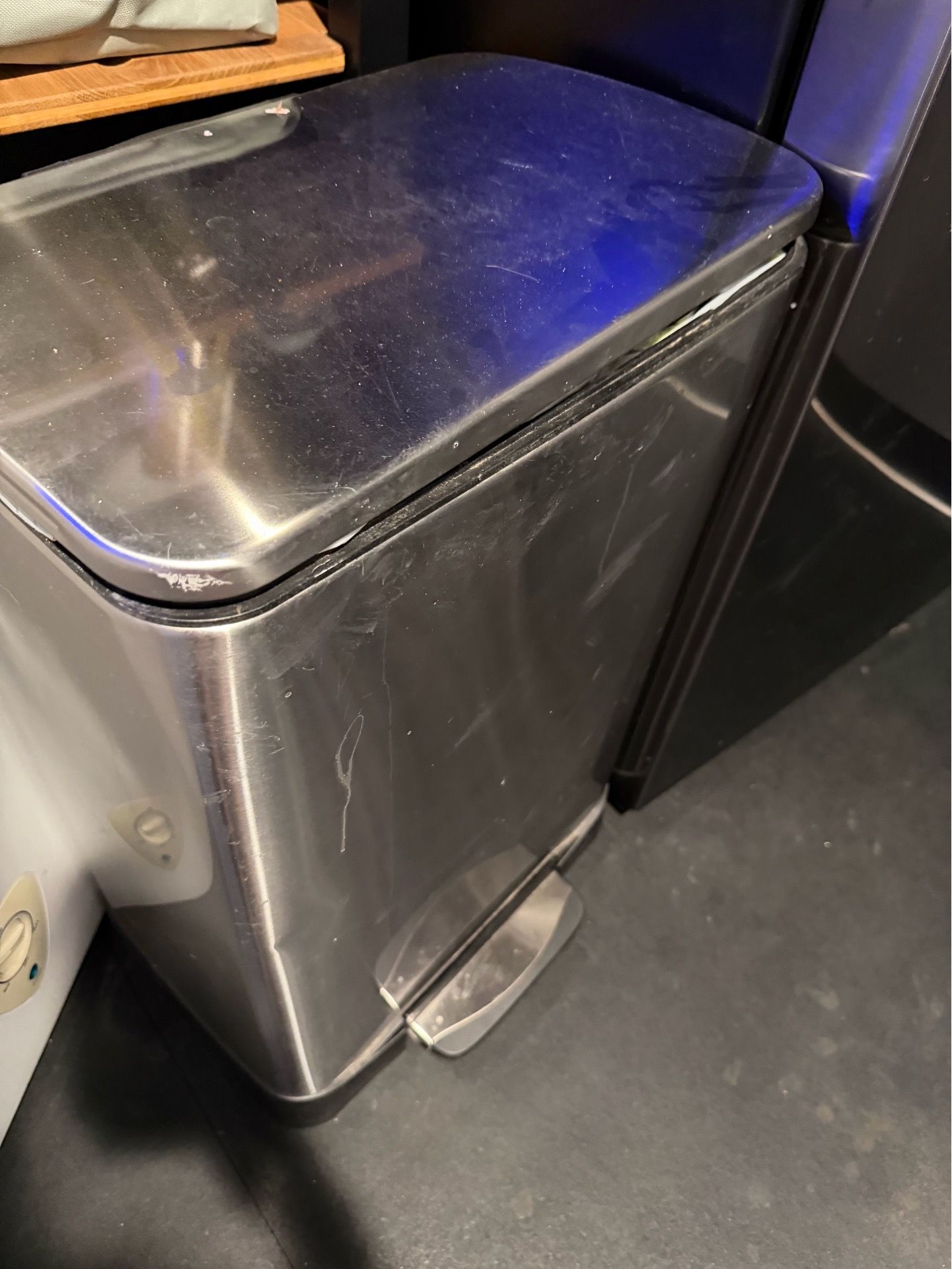 Trash/Recycling Can