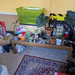 Tall Oak Coffee Table