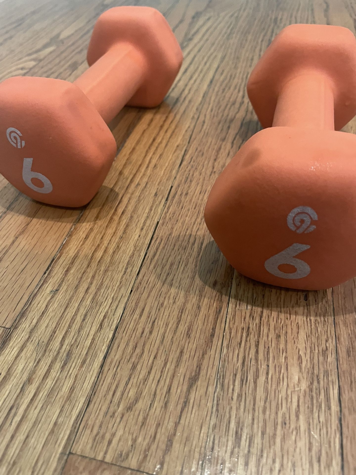 6 lb Dumbbell ( Set Of Two)