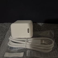 Fast Charger 