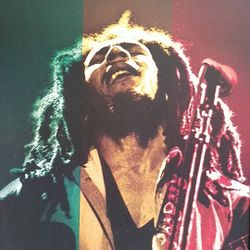 Bob Marley picture
