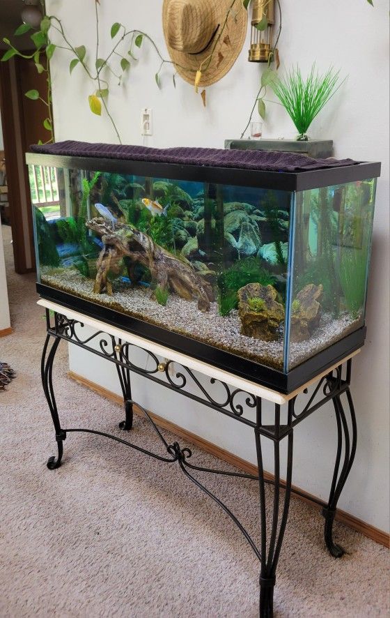 Aquarium, 90 Gallon comes with a lot of extras..