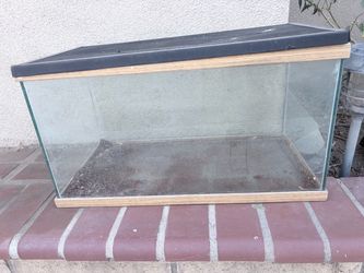 Reptile box