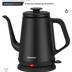 Electric Tea kettle (new)